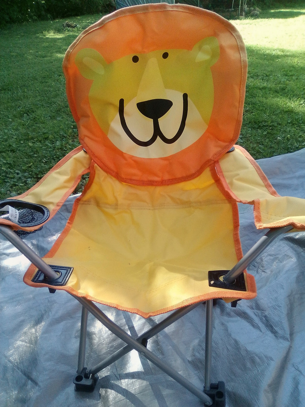 Kids Camping Chair